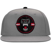 CircleLogo hat - Grey