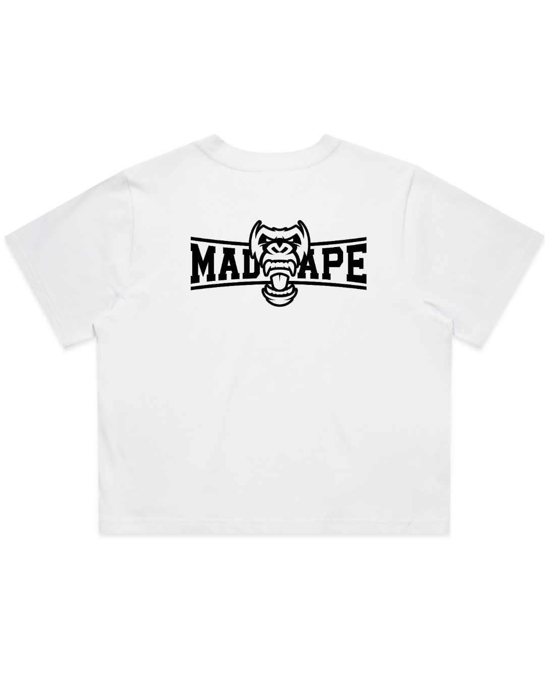 Untitleddesign_10_0058d255-2e50-4fb9-b957-18828b7ae050.png