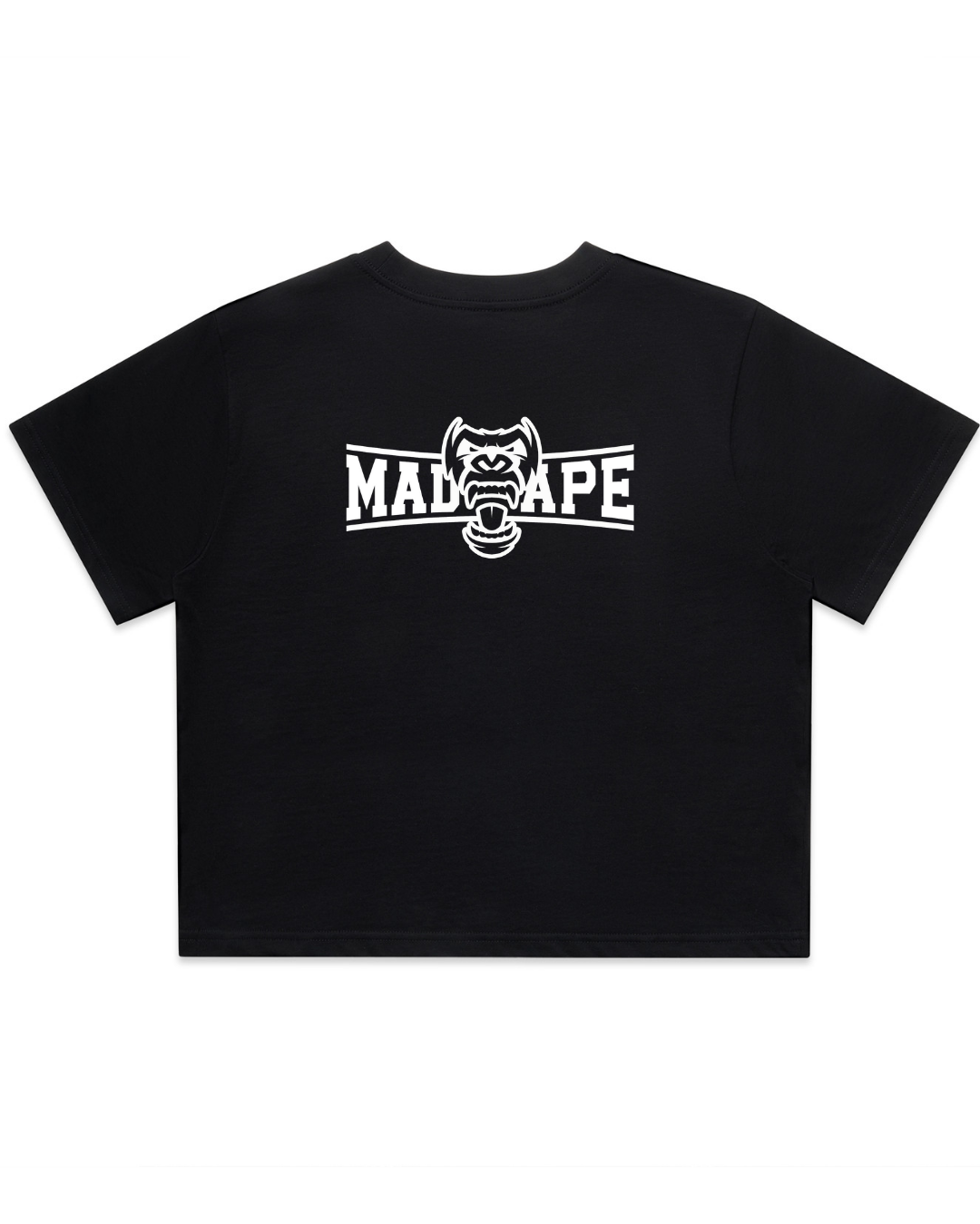 Untitleddesign_1_a32d6f4f-746d-4256-b301-6aca7eb49ede.png