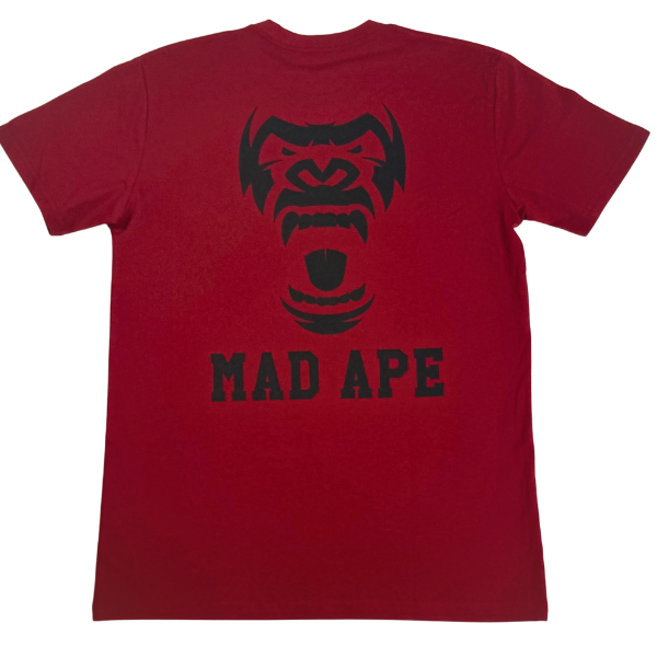 Untitleddesign_2_07d4875d-3a78-47bc-8970-049aa7ebbd32.png