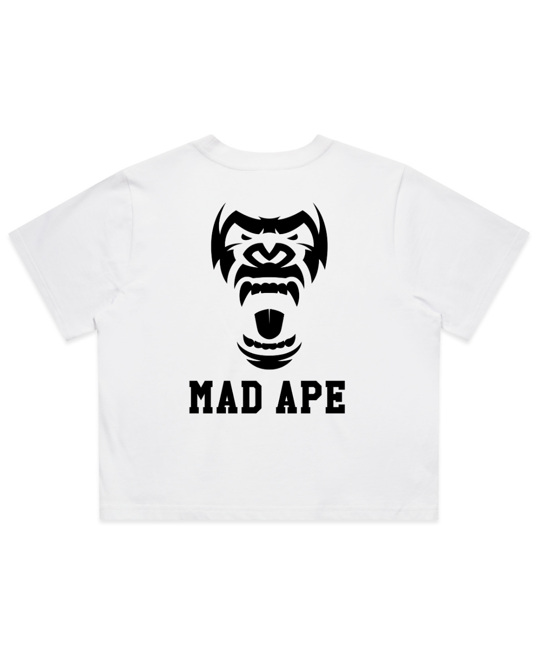 Untitleddesign_2_a3e66ef9-54f2-4759-aedd-375b970a7f77.png