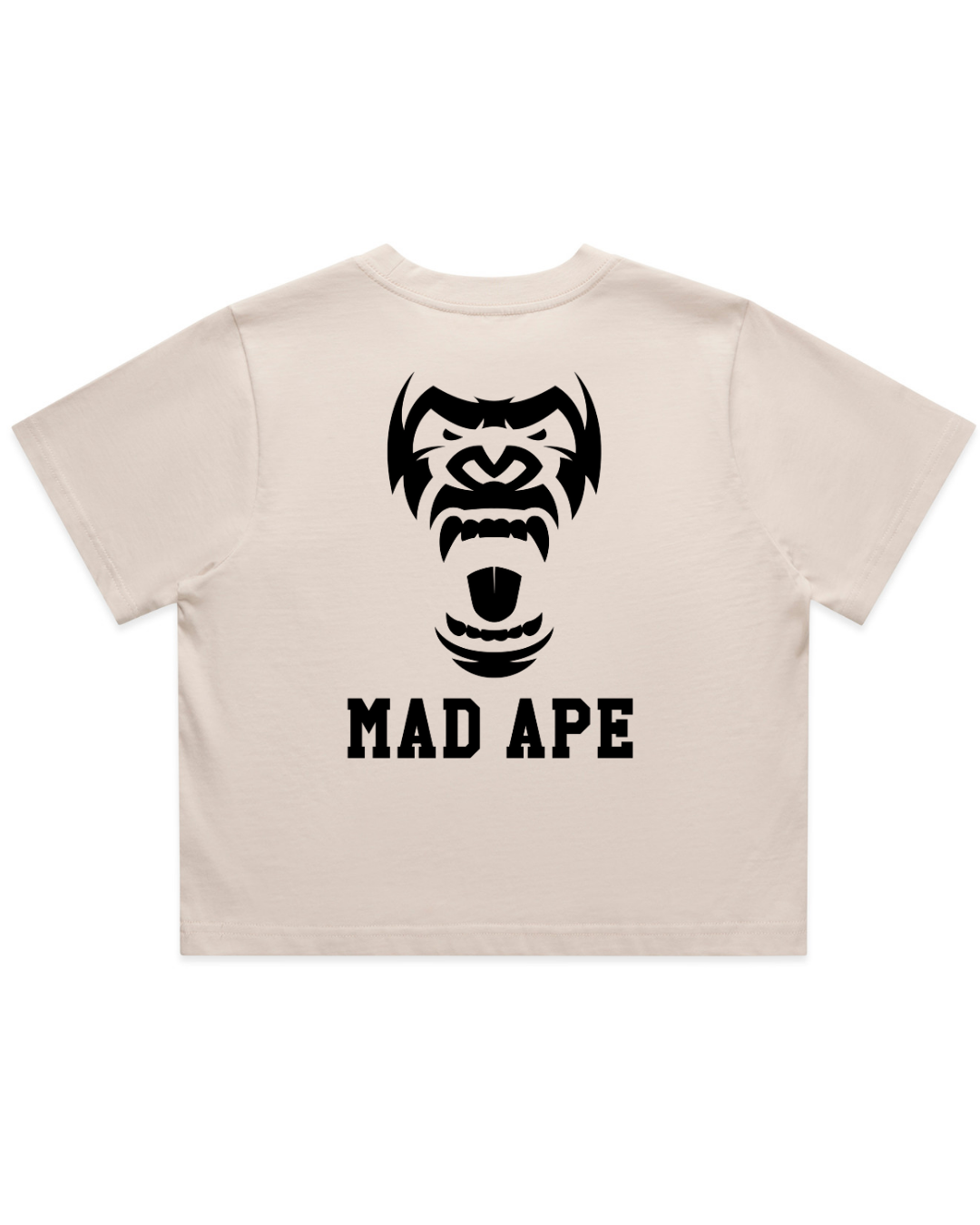 Untitleddesign_3_9e21603e-da17-4782-8afc-8356e82e7adf.png