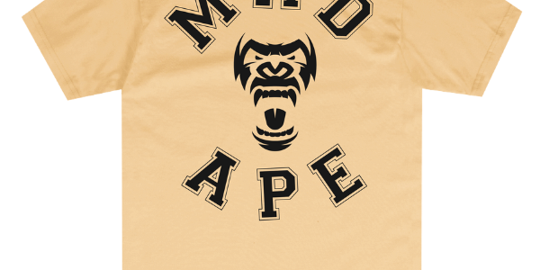 Untitleddesign_4_6d6da73c-41bb-4da9-8414-2bd8d7f14ed4.png