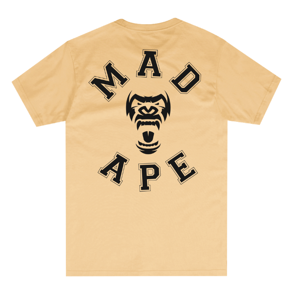 Untitleddesign_4_6d6da73c-41bb-4da9-8414-2bd8d7f14ed4.png