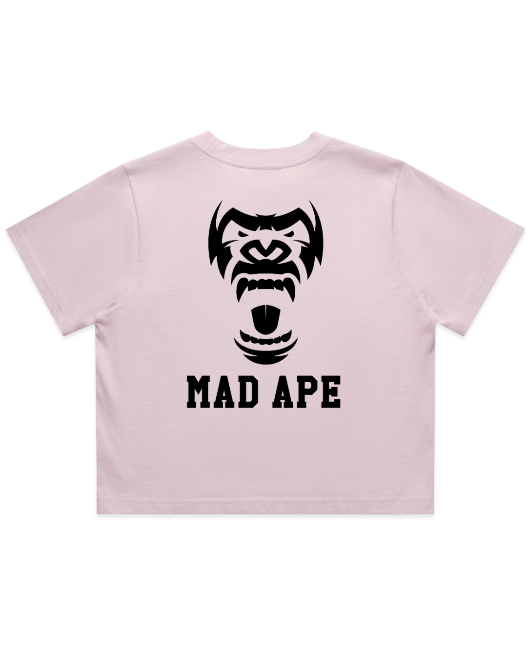 Untitleddesign_4_f7315826-63c6-4e4a-a9f0-c764bf3f6582.png