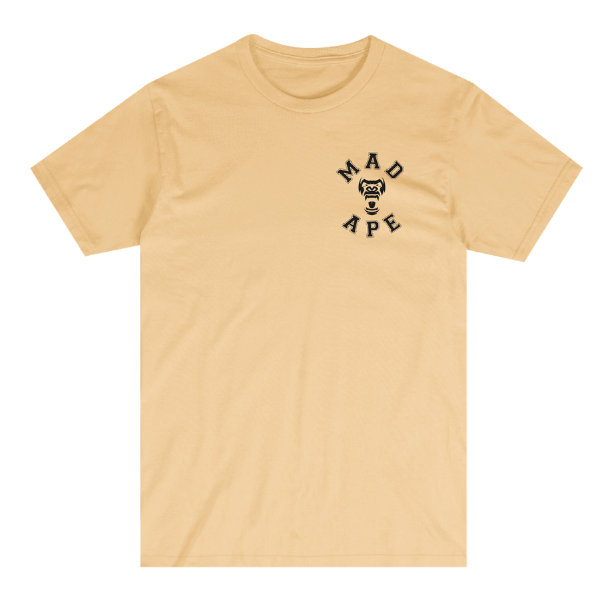 Untitleddesign_5_84beb1fa-3efc-4954-a6a0-47cc91fae5a6.png