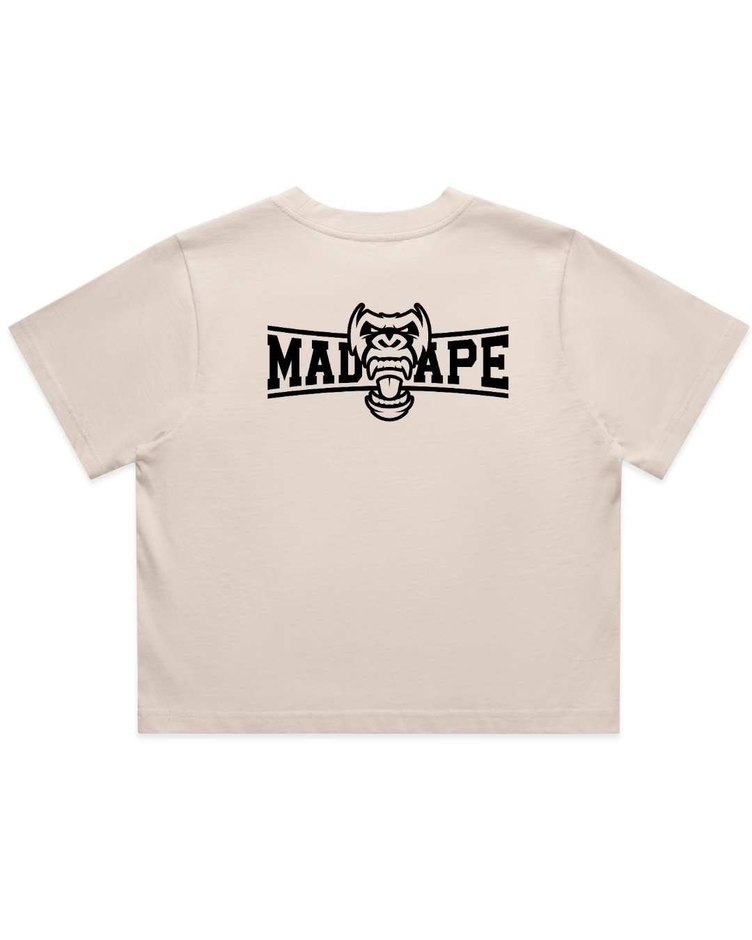 Untitleddesign_8_1f8ce620-0503-4bf2-800e-ce32192c1f9f.png