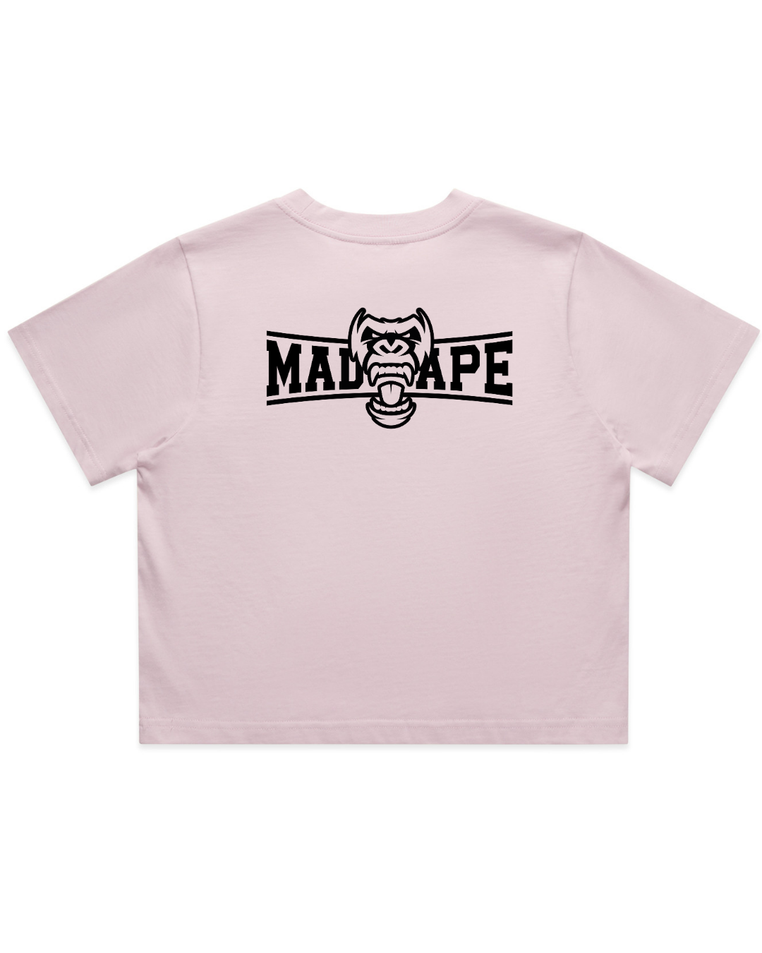 Untitleddesign_9_7355b6d8-697c-4fc2-832d-b99ba5ac7284.png
